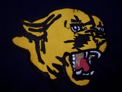 Cougar Head Gold On Black Embroidered Mascot