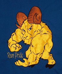 Dubois Wrestling Banner Ram Embroidered Mascot 