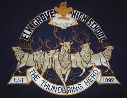 Elk Grove High School Embroidered tablecloth