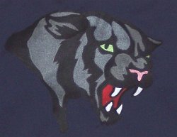 Grace Dodge Career Technical High School Panther Embroidered Mascot 