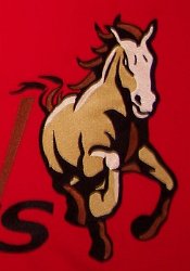 Mesa View Mustang Embroidered Mascot 