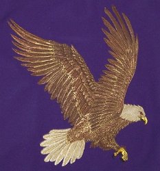 Mountain View Elementary School Eagle Embroidered Mascot 