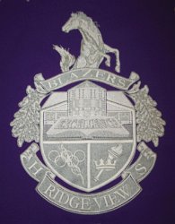 Ridge View High School Embroidered Seal 