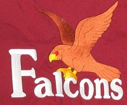 Vail Farm Elementary School Embroidered Falcon Mascot 