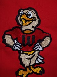 Wildwood Elementary School Embroidered Mascot 